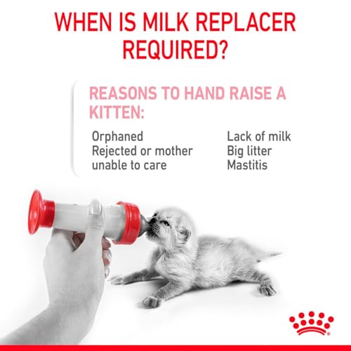 Royal Canin Babycat Milk | 300 g | Milchaustausch-Futtermittel für Katzenwelpen | Von der Geburt bis zur Entwöhnung (0-2 Monate)| Für ein harmonisches Wachstum