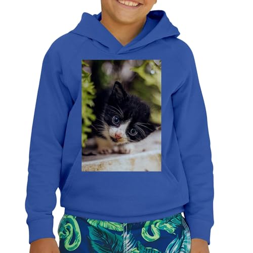 Sweat à capuche enfant chaton noir et blanc qualité supérieure douce