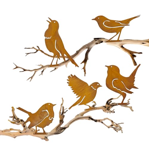 5 Piezas Decoración de Pájaros Oxidados, Metal Oxidado PáJaro, Jardin Oxidada Pajaros, Oxidado Para Jardín, Decoración de Jardín con Forma de Pájaro Impermeable, Para árbol Valla Patio Decoración Jard