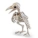 Crazy Bonez Skeleton Raven