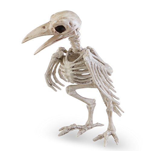 Crazy Bonez Skeleton Raven