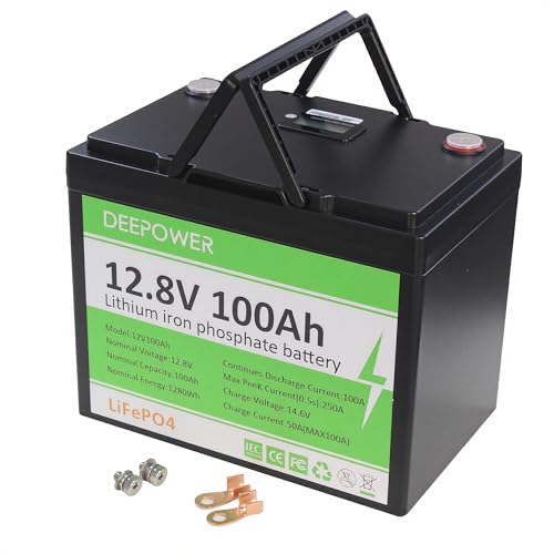 Zylvro 12V 100Ah LiFePO4 Battery with Display, Grade-A Cells, 1280Wh, 5000+ Deep Cycles, BCI Group 24, Compact and Lightweight for Home Energy, RV, Solar, Marina, Trolling Motors, UPS, Off-Grid Power