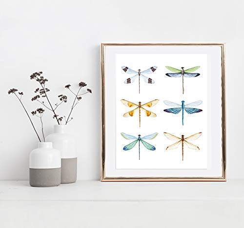 Dragonfly Wall Art Print - Unframed - 8X10 #TOP3