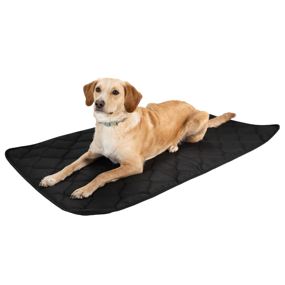 GBKDQQ Waterdichte hondenmat, 90x60 cm, wasbaar, draagbaar hondenkussen, outdoor, bed voor honden en katten, reizen, camping GBKDQQ Waterdichte hondenmat, 90x60 cm, wasbaar, draagbaar hondenkussen, outdoor, bed voor honden en katten, reizen, camping
