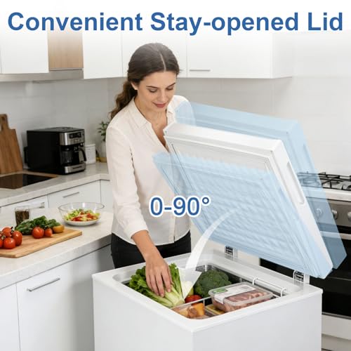 chest freezer large capacity System product image
