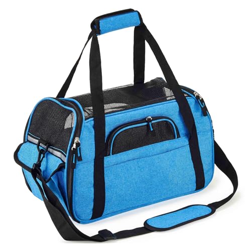 Pettom L[obO 傫  ^ L L[ ybgL[ (ڃp[v, M)