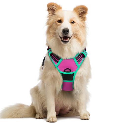 Image of rabbitgoo Dog Harness No Pull with 2 Leash Clips, Adjustable Soft Padded, Reflective Oxford No Choke Pet Vest with Easy Control Handle for Large Dogs, Hot Pink & Turquoise, M