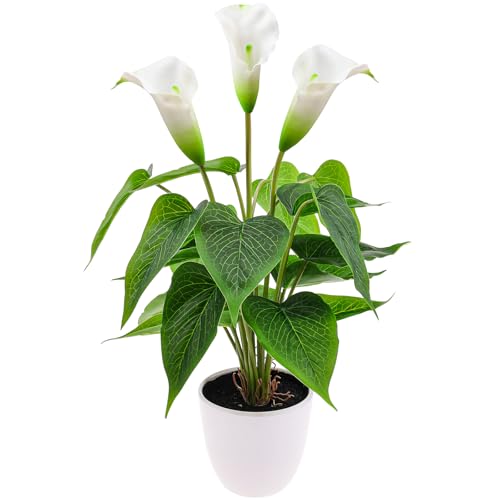Folmywy Künstliche Calla Lilie Pflanze Weiß 40 cm Kunststoff Übertopf Moderne Inneneinrichtung Echt wirkend Pflanze Deko für Garten Deko Terrasse Terrasse Gartenaccessoires Wohnzimmertisch