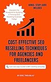 Cost-Effective SEO Reselling Techniques for Agencies and Freelancers: Maximize Revenue with Budget-Friendly Strategies and Insider Tip