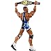 WWE Elite Collection Jason Jordan Action Figure (with NXT Tag Team Championship Belt)