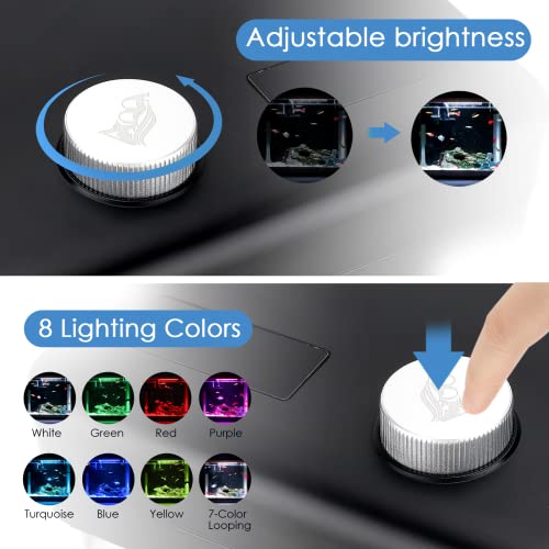 Aqqa 1.5 Gallon Aquarium Kits Desktop Small Fish Tank With Filter And Light (8 Colors Adjustable) Freshwater & Saltwater Betta Fish Tank Kit Office & Home Decor (Black) #TOP2