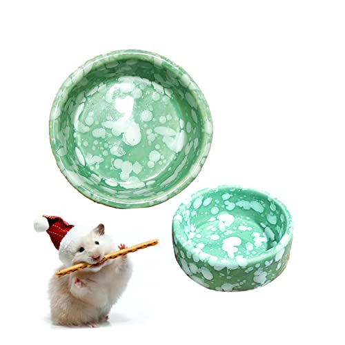 Can Hamsters Eat Kiwi? (Seeds, Skin & More)