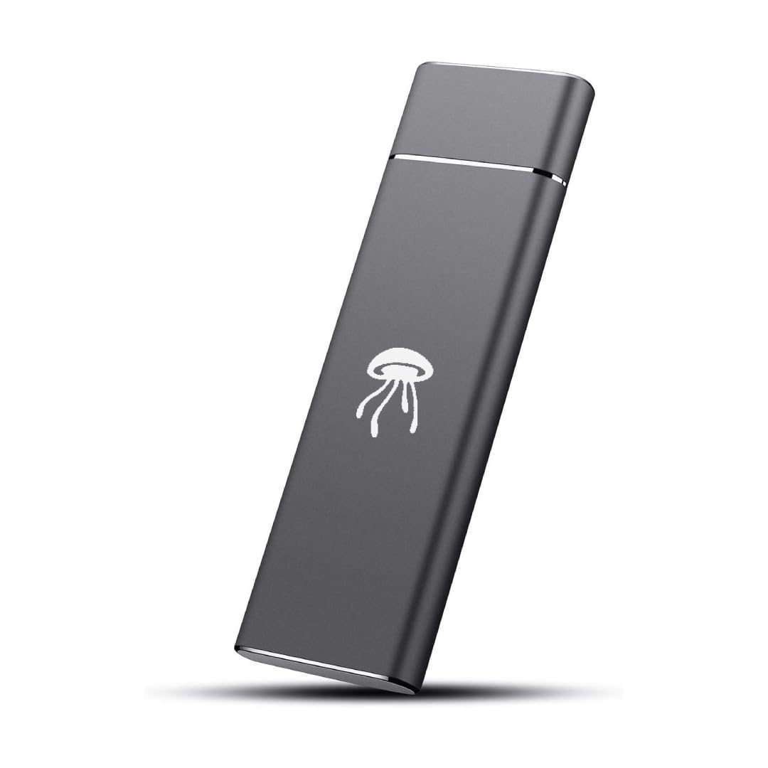 KARMATECH SSD Esterno 256GB, SSD Portatile USB-C Fino a 500MB/s, Unità a Stato Solido Esterna per Archiviazione Dati, Compatibile con Windows, Mac, Laptop, Smartphone, PS5, Xbox (Ricondizionato)