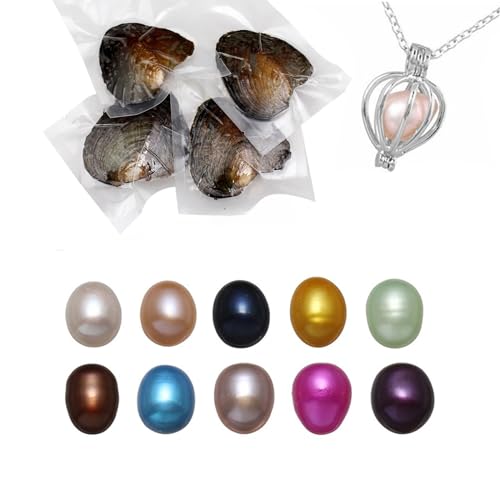 Magnitt Freshwater Pearl Oyster Cultured Love Wish Round Pearls Various Shining Meaningful Color Oysters with Pearls Inside with DIY Necklace Pearl Kit Gift for Women (B7-8mm/10Pcs)