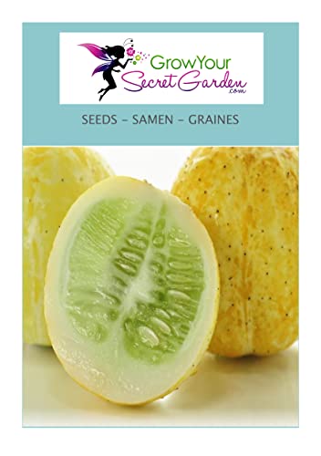 Concombre Lemon 20 Graines