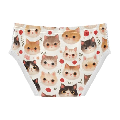 Wusikd Cute Cats Boys' Underwear Cotton Roses Boys Briefs Soft Toddler Underwear 2T2