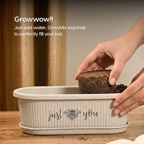 Image of Eha Earth-Friendly Printed Regalia Planters for Home Decor | 12 Inch, Pack of 2 with Growmix | Plant Gifts Made with Rice Husk Biocomposite | Flower Pot for Living Room| Sand Castle