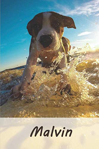 Malvin: Tagebuch / Journal Personalisiertes Notizbuch Malvin - individuelles Namensbuch mit Hunde Motiv | DIN A5 100 Seiten | liniert