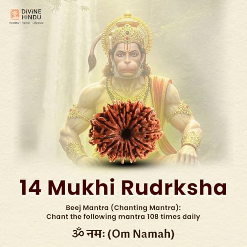 Image of Divine Hindu Original 14 Mukhi (Fourteen Face) Indonesia Rudraksha | Chaturdash Mukhi Rudraksh Bead for Meditation & Spiritual Growth | Natural Rudraksha for Men & Women | Prayer Bead for Success