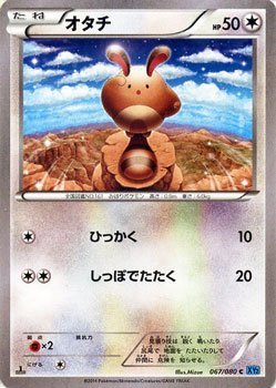 PSA10 オタチ C ワイルドブレイズ 067/080 ポケモンカード Amazon.co.jp: ポケモンカードXY オタチ/ワイルドブレイズ/シングル