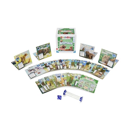 Sylvanian Families Les Dès à Dessiner - vue 6