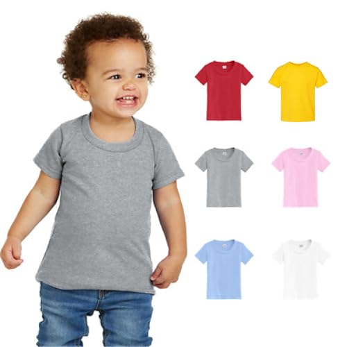 Pittsburgh Terribly Awesome Funny Toddler Love Shirt (Boys & Girls)2