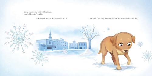 A Stray Dog for Christmas: How Suzy Was Adopted
