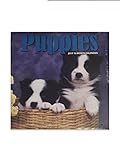 Puppies 12-Month 2017 Calendar