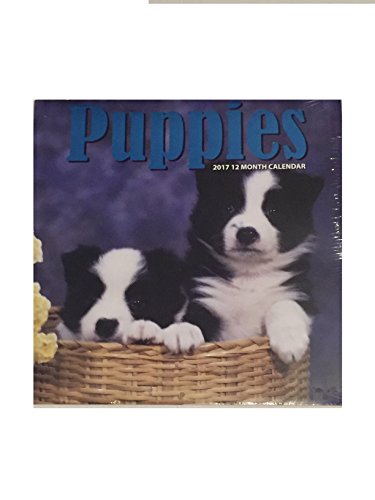 Puppies 12-Month 2017 Calendar