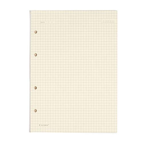 Refil Criativo Argolado, Bege, Quadriculado, 40 fls, Papel Pólen 80g/m², Tamanho Grande (17×24)