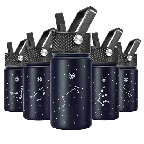 Image of BJPKPK Insulated Water Bottle, 15oz Stainless Steel with Straw Lid
