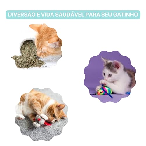 Brinquedo Para Gatos Com Catnip Rato Com Pena