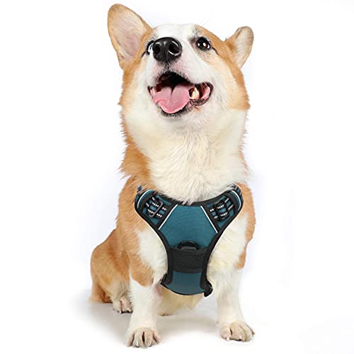 rabbitgoo Dog Harness Medium No Pull Pet Harness with 2 Leash Clips, Adjustable Soft Padded Pet Vest Harness, Reflective No-Choke with Easy Control Handle for Training or Walking, Dark Green, M