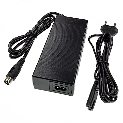 YYHQQBAD Caricabatteria adattatore batteria 36V 2A...