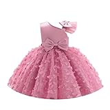 Toddler Baby Girls Pageant Butterfly Dress Infant Wedding Flower Girl Dress Bowknot Stain Tulle Tutu Gown Princess Birthday Party Dresses for Photoshoot Cake Smash Outfit Dusty Pink 9-12 Months