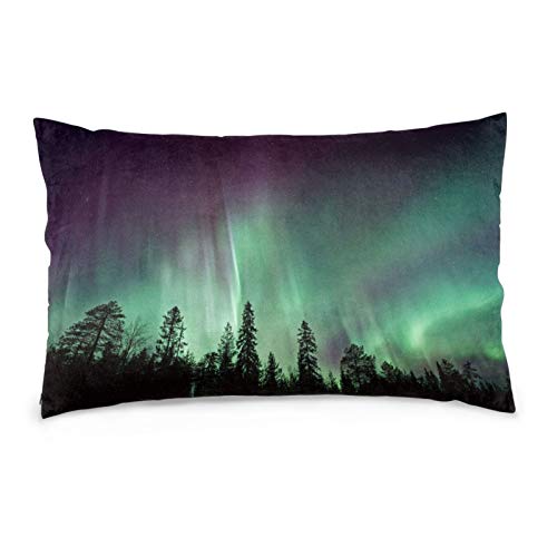 �I�[���� ���J�o�[ �N�b�V�����J�o�[ �h�_�j �R�� �h�L ������ �s���[�P�[�X �_�炩�� �D�������G�� �ӂ�ӂ� �t�@�X�i�[�� ���� �\�t�@�[ �ԗp �Q��J�o�[ �\�t�@�w���� �����G�� 40×60cm