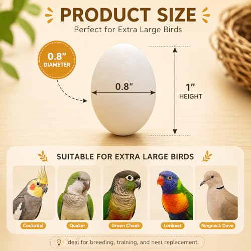 Image of Solid Plastic Eggs - Parrot Bird Hatching Replacing Eggs for Guiding Birds to Stop Laying, 10 PCS (XL)