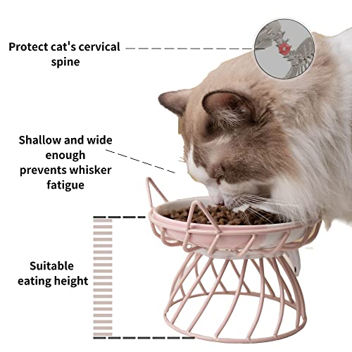 Cat Food Dishes, Elevated Cat Bowls With Non Slip Metal Stand, Raised Cet Food And Water Bowl, Cat And Small Dog Bowl, Tilted Ceramic Cat Water Bowl,Dishwasher Safe #TOP2