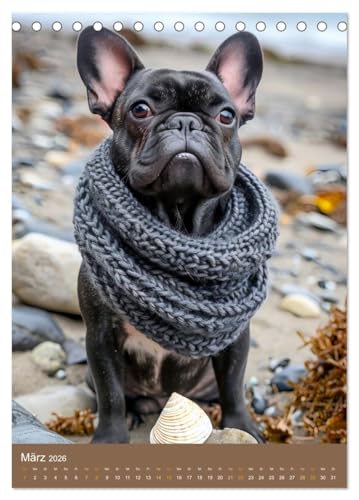 Frenchie Couture - Französische Bulldoggen in Strick-Chic (Tischkalender 2026 DIN A5 hoch), CALVENDO Monatskalender: Französische Bulldoggen in lustigen Hundestricksachen (CALVENDO Tiere)