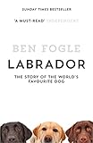 Labrador: The Story of the Worlds Favourite Dog