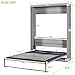 Harper & Bright Designs Full Size Murphy Bed, can be Folded into a Cabinet, Full Murphy Cabinet Bed, Gray