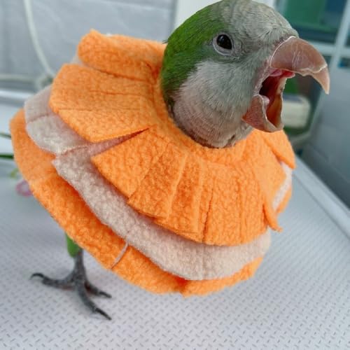 Image of RRRIOT Adjustable Parrot Cone Collar, Safe and Practical Cotton Collar to Prevent Bites and Licking Wounds, to Help heal (2M)