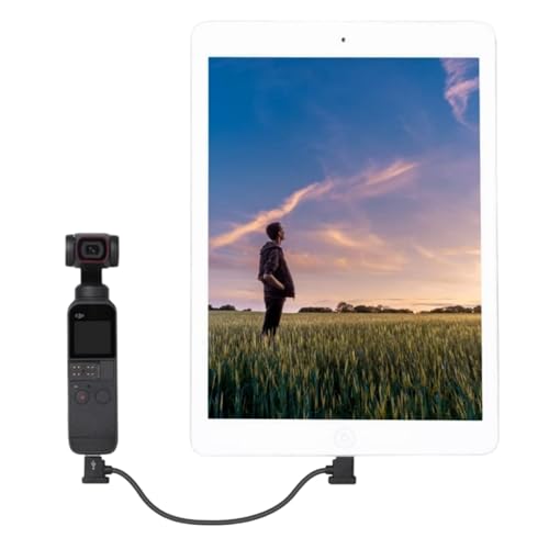 Image of ELFOG Data Cable Suitable For Mavic Air 2S / DJI FPV Flight Glasses V2 / Mavic Mini2 / Osmo Pocket 2 Mobile Phone Tablet Remote Control Cable 15cm Type-C to Type-C Cable(TYPE C)