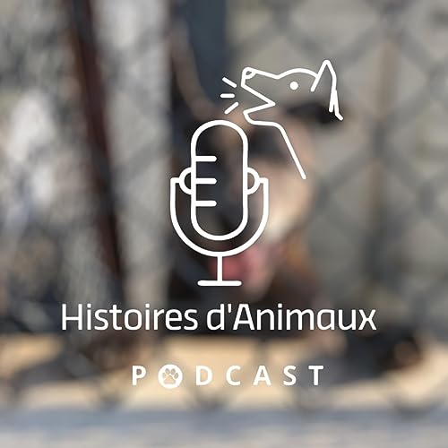 Dans la peau d'un soigneur au refuge pour chiens et chats de Bayonne