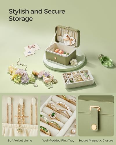 Image of SONGMICS Travel Jewelry Organizer, 2-Layer Portable Jewelry Box Case