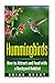 Hummingbirds: How to Attract and Feed with a Backyard Habitat