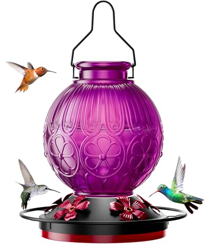 10% off - 26Oz Hummingbird Feeder for Outdoors, Vintage Glass Bird Feeder with Perch, Durable & Easy to Clean,...