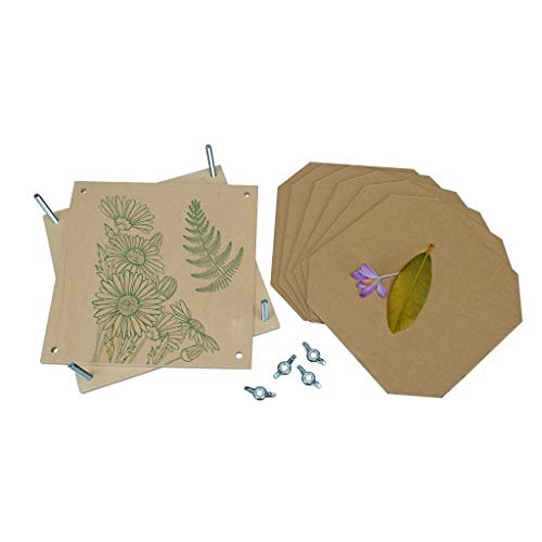Wiemann Lehrmittel Kleine Pflanzenpresse, 6 Einlegeplatten, 19,5 x 19,5 x 4 cm – Bild 5