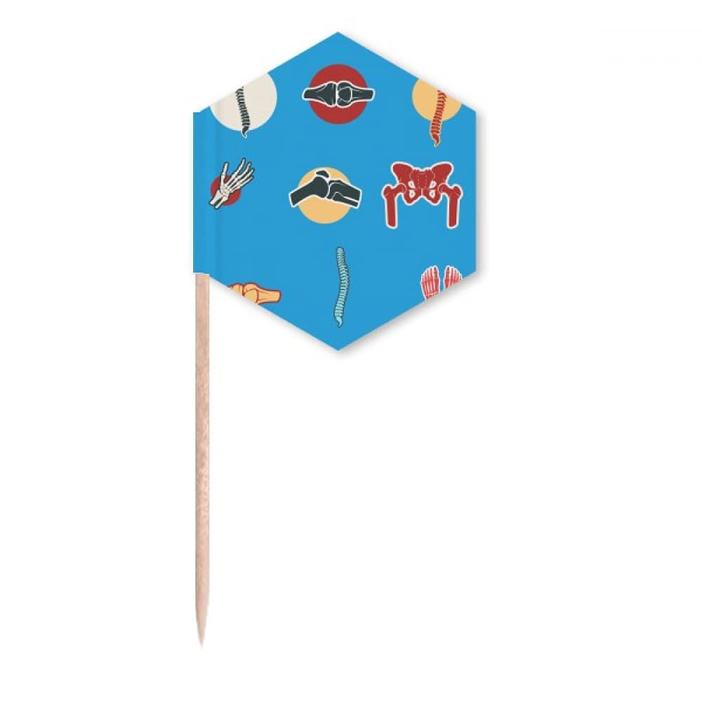 Human Joint Illustration Bones Toothpick Flags Cupcake Picks Party Celebration