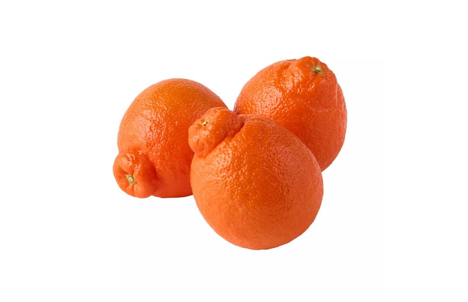 Texas Grown Fresh Minneola Tangelos Honeybell Oranges - 3lbs Non-GMO